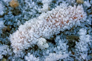 Pogonip crystals on gravel