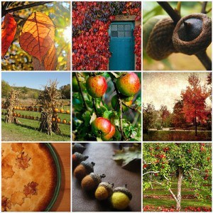 Autumn Mosaic From great Flickr Finds