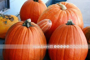 Pumpkins