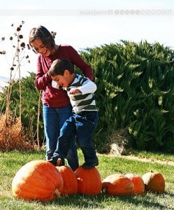 Pumpkin Walking