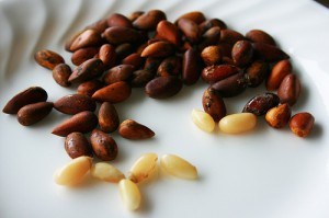 Gratitude Day 28: Roasted pine nuts