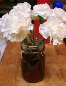 carnations