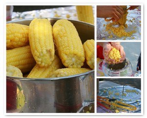 Corn Harvest 01