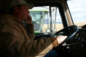 Corn Chopping 05