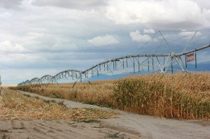 corn pivot