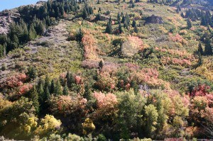 Provo Canyon