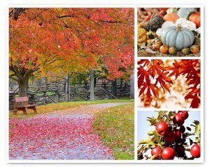 Autumn Mosaic 01 2011