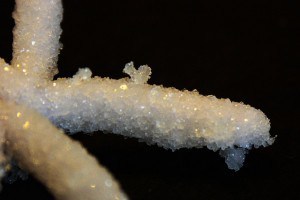 small borax crystals