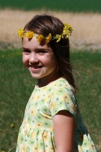 dandelion crown