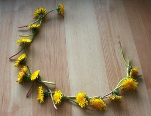 Dandelion Crown 05