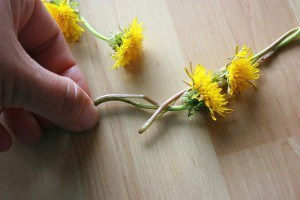 Dandelion Crown 06