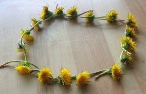 Dandelion Crown 08