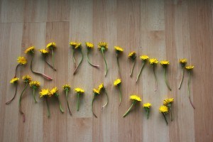 Dandelion Crown 01