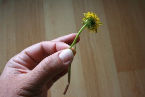 Dandelion Crown 02