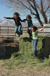 Farm Girl Playground 02