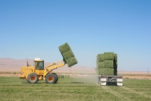 hay hauling