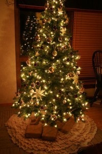 IMG_4605 Christmas Tree 2012