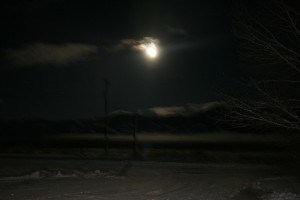 IMG_5295 eerie moonlit night