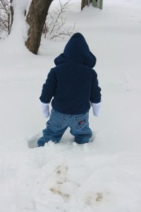 IMG_5245 Gideon stuck in snow