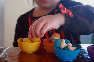 IMG_5801 - matching acorns to bowls copy