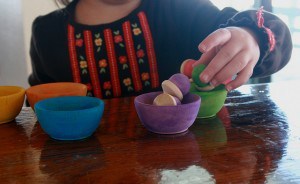 IMG_5797 matching acorns to bowls copy