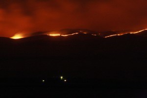 IMG_7569 - wildfire