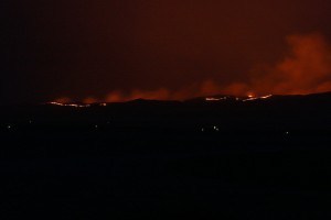 IMG_7567 - wildfire