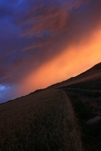 Sunset in Nevada