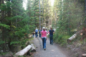 IMG_8375 - walking down the trail