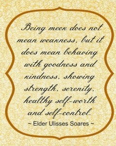 Meekness - Elder Soares