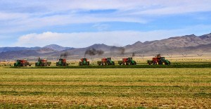 Baling with 7 balers 10