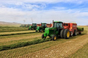 Baling with 7 balers 04