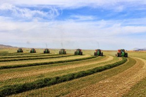 Baling with 7 balers 03