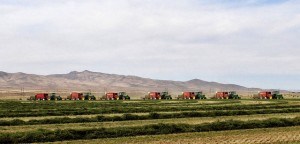 Baling with 7 balers 02