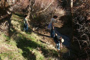 IMG_1062 playing in the stream