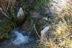 IMG_1048 stream