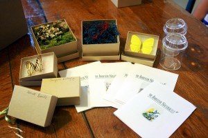 amateur naturalist kit 01