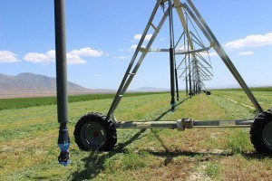 Pivot in hay field