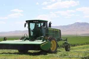 swathing june 2 2014 02