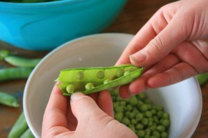 Shelling peas 2