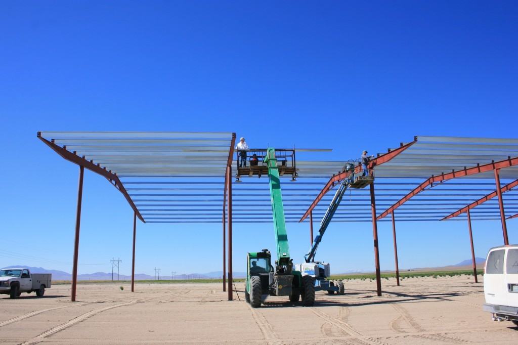 purlins on hay barns