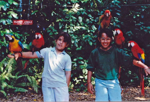 Parrot Jungle 03