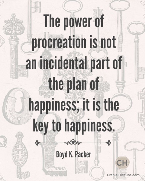 The power of procreation is not an incidental part of the plan of happiness; it is the key to happiness. Boyd K. Packer