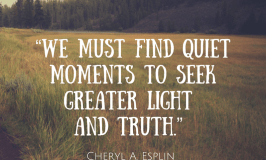 We must find quiet moments to seek greater light and truth. Cheryl A Esplin