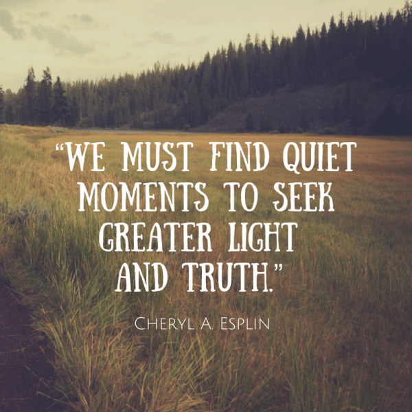 We must find quiet moments to seek greater light and truth. Cheryl A Esplin