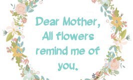 Dear Mother, all flowers remind me of you.