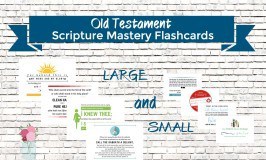 Old Testament Scripture Mastery Flashcards - a set of large and small cards great to use for seminary!