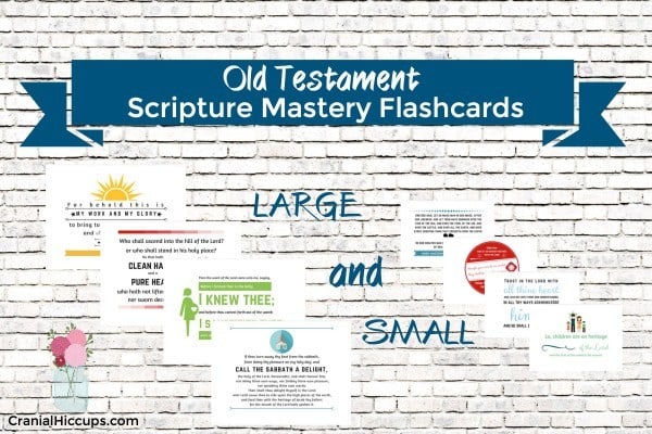Old Testament Scripture Mastery Flashcards - a set of large and small cards great to use for seminary!