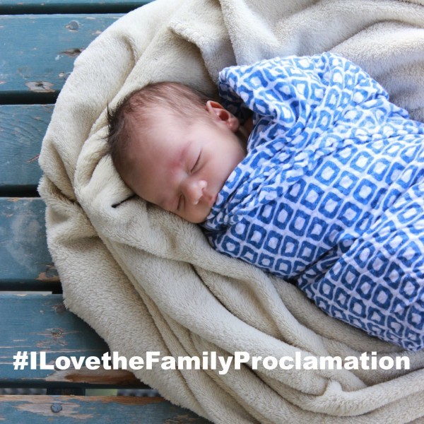Use the hashtag #ILovetheFamilyProclamation to share what you love about it! on all your social media channels!