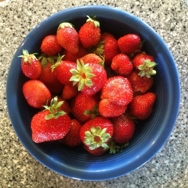 garden ripe strawberries